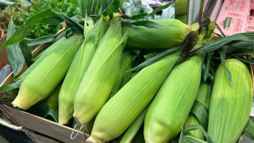 We Carry a Selection of Seasonally Available Favorites | Fresh Produce | Monmouth Meats